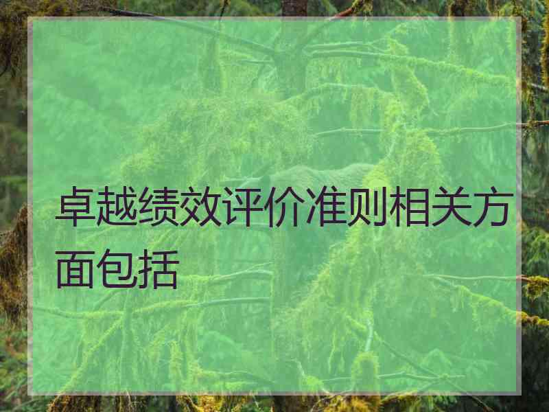 卓越绩效评价准则相关方面包括