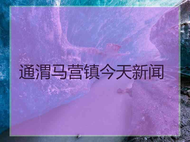 通渭马营镇今天新闻