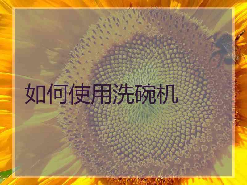 如何使用洗碗机