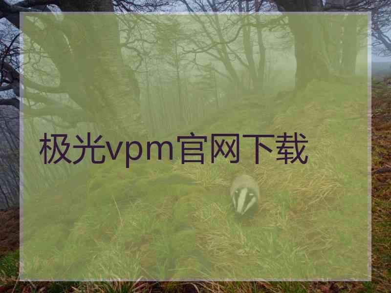 极光vpm官网下载