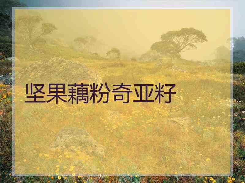 坚果藕粉奇亚籽