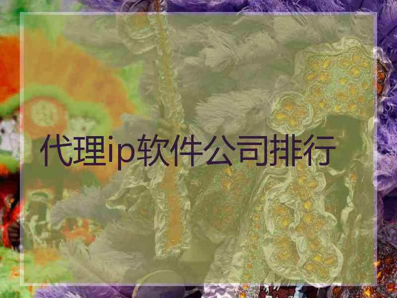 代理ip软件公司排行