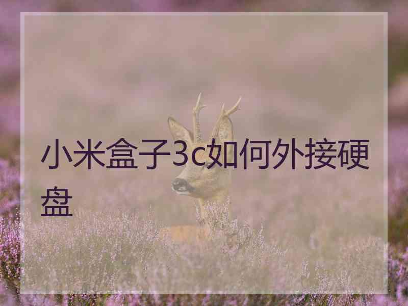 小米盒子3c如何外接硬盘