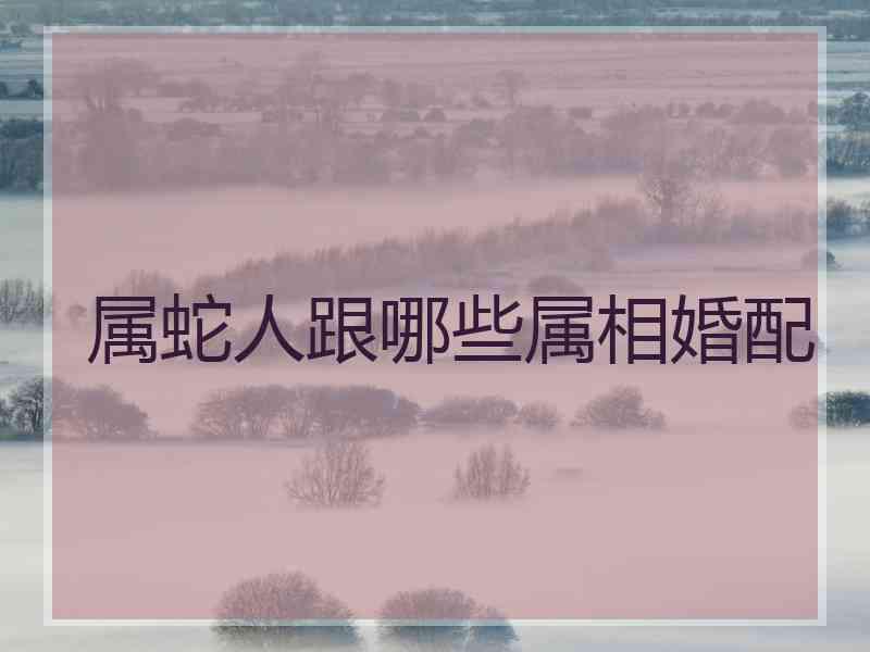 属蛇人跟哪些属相婚配
