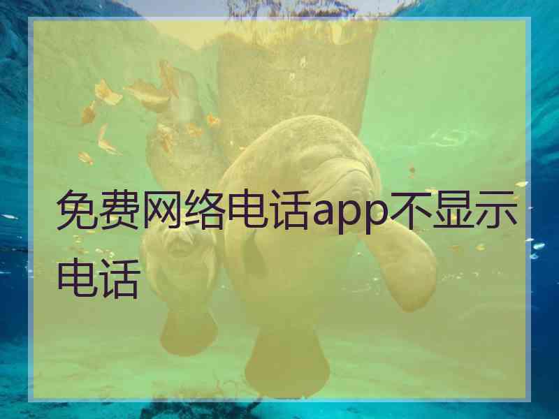 免费网络电话app不显示电话