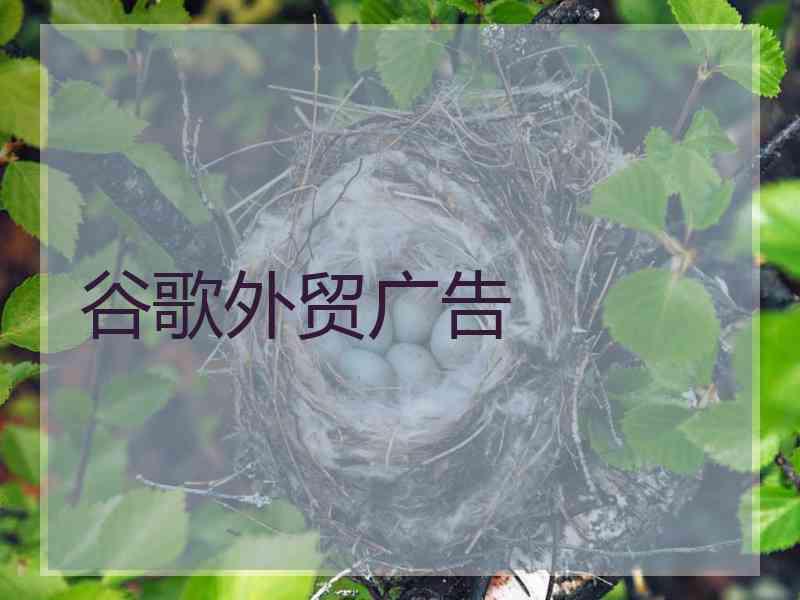 谷歌外贸广告