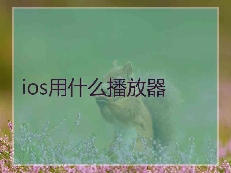 ios用什么播放器