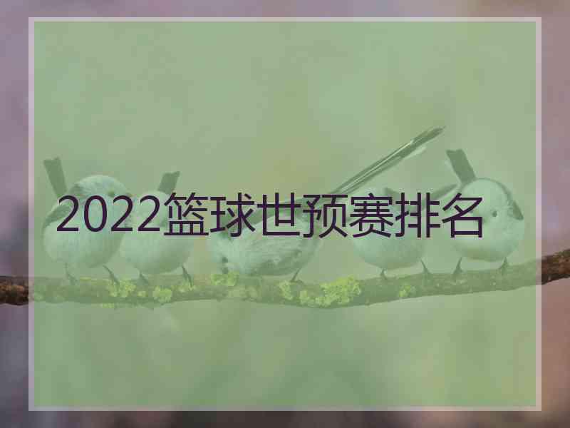 2022篮球世预赛排名