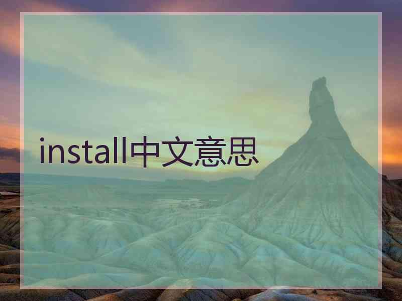 install中文意思