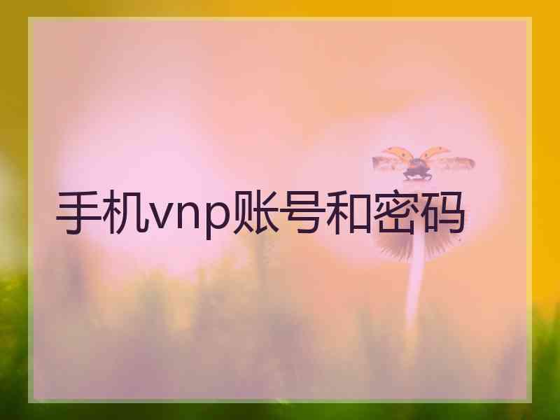 手机vnp账号和密码