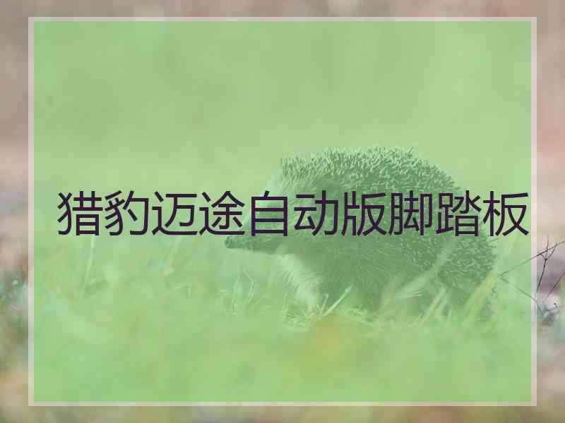 猎豹迈途自动版脚踏板