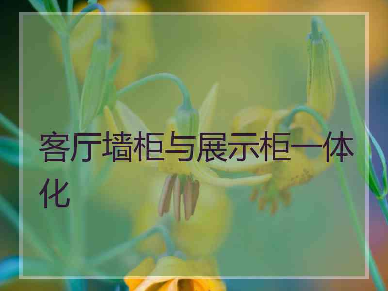 客厅墙柜与展示柜一体化