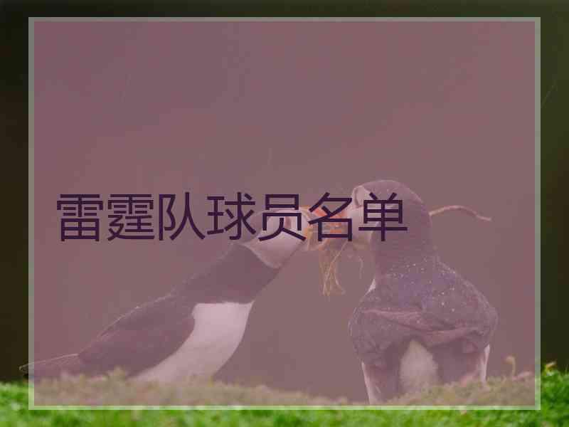 雷霆队球员名单