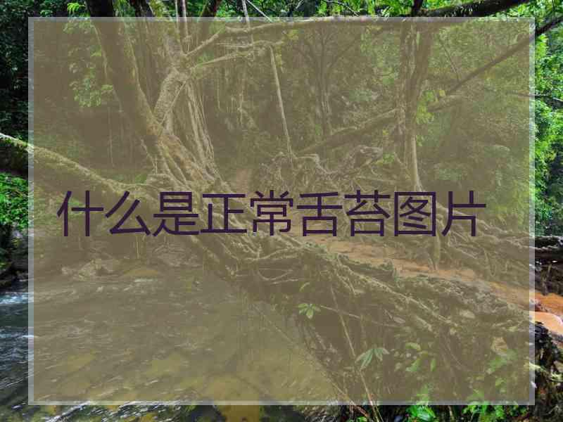 什么是正常舌苔图片