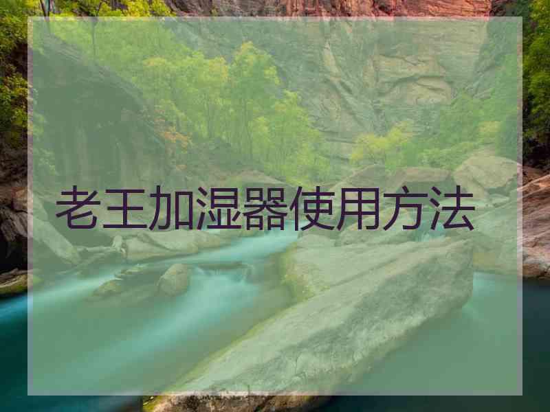 老王加湿器使用方法