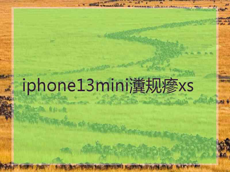 iphone13mini瀵规瘮xs