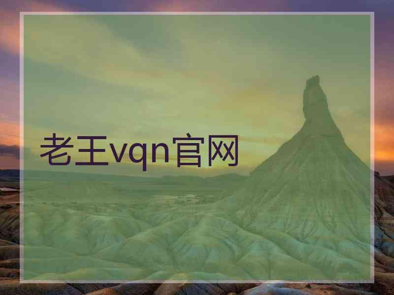 老王vqn官网