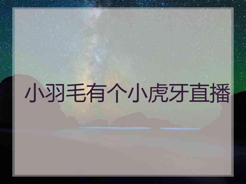小羽毛有个小虎牙直播
