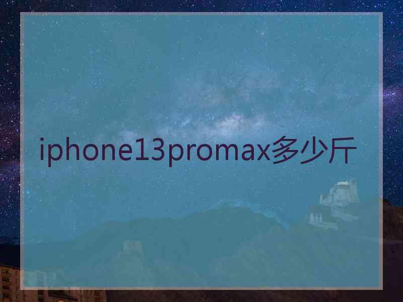 iphone13promax多少斤