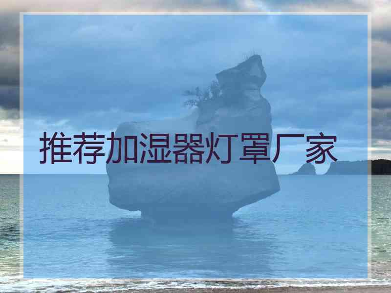 推荐加湿器灯罩厂家