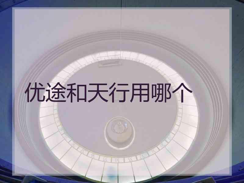 优途和天行用哪个