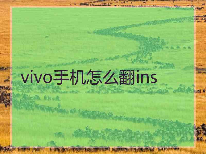 vivo手机怎么翻ins
