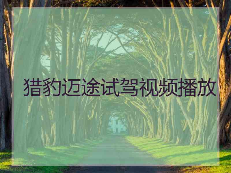 猎豹迈途试驾视频播放