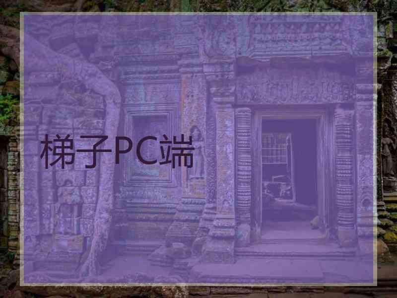 梯子PC端