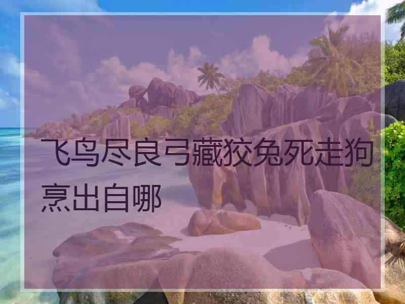 飞鸟尽良弓藏狡兔死走狗烹出自哪