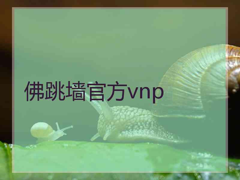 佛跳墙官方vnp