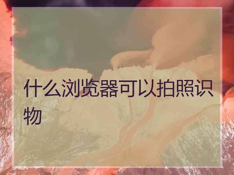 什么浏览器可以拍照识物