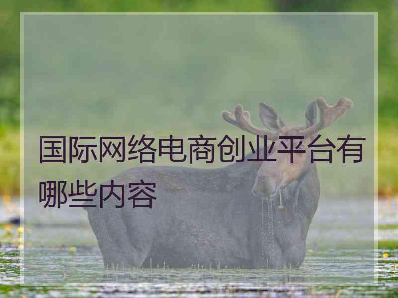 国际网络电商创业平台有哪些内容