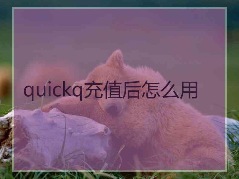 quickq充值后怎么用