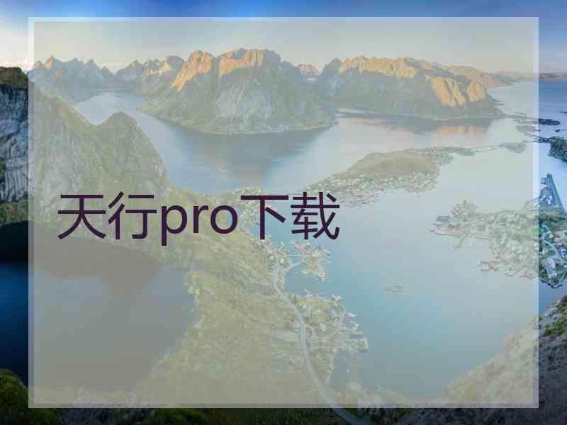 天行pro下载
