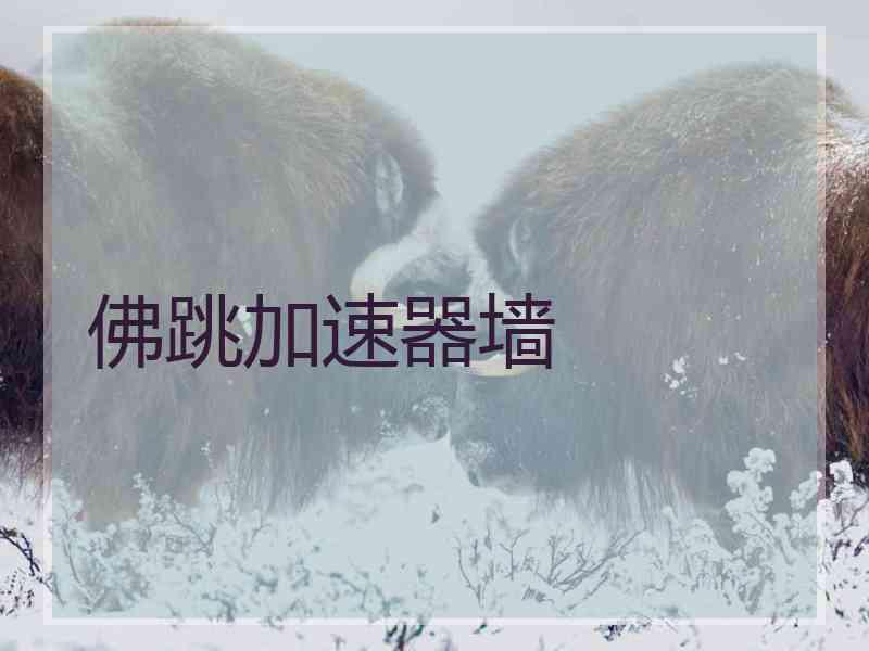 佛跳加速器墙