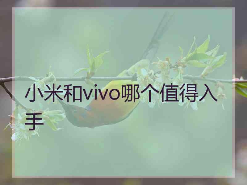 小米和vivo哪个值得入手
