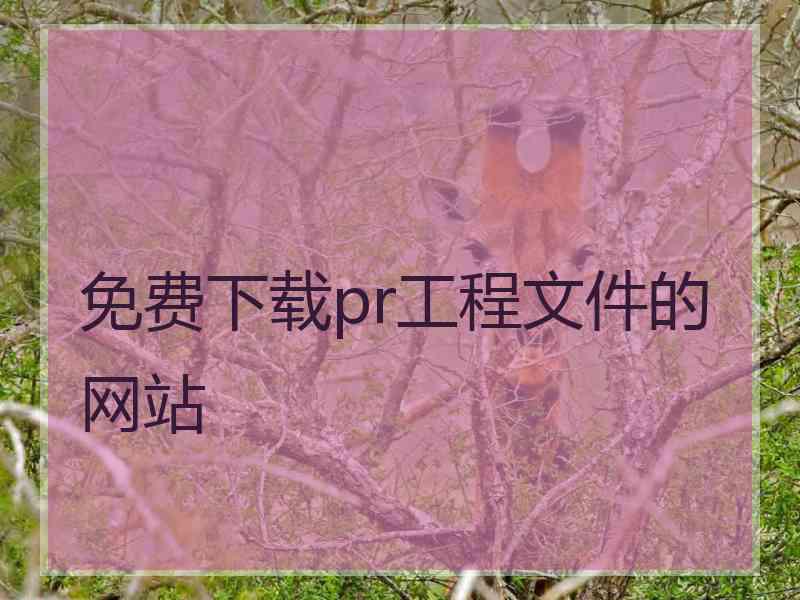 免费下载pr工程文件的网站