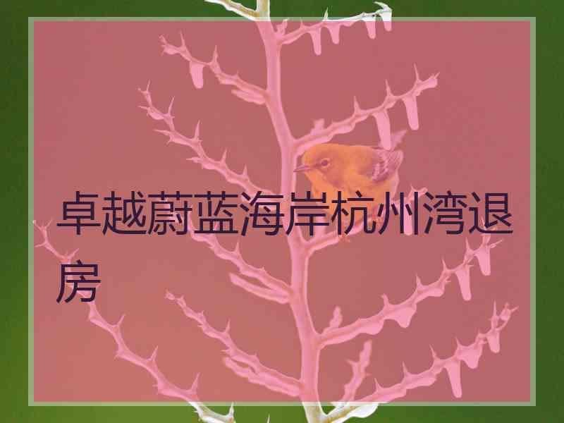 卓越蔚蓝海岸杭州湾退房