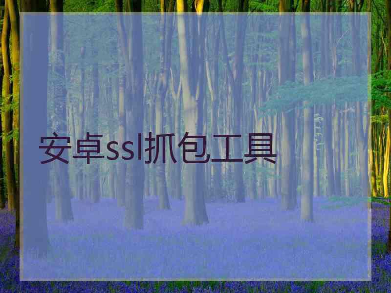 安卓ssl抓包工具