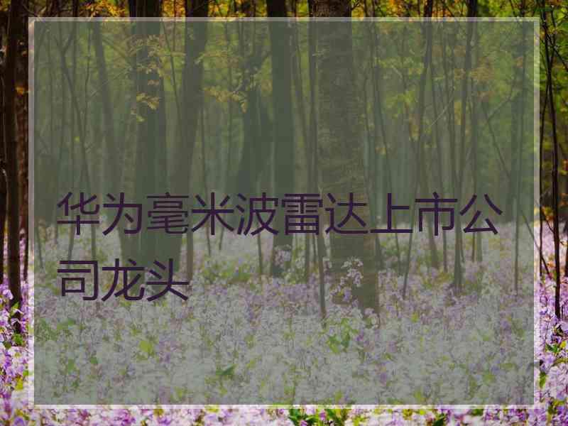 华为毫米波雷达上市公司龙头