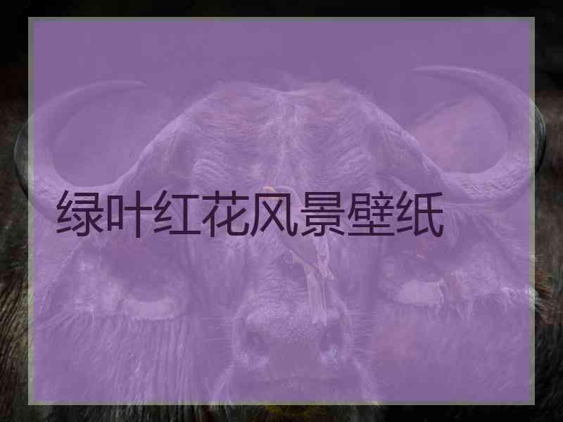 绿叶红花风景壁纸