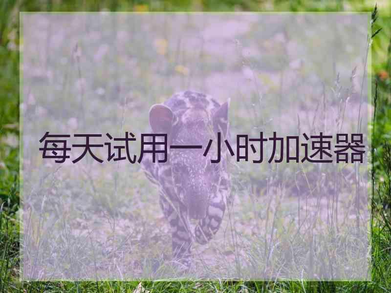 每天试用一小时加速器