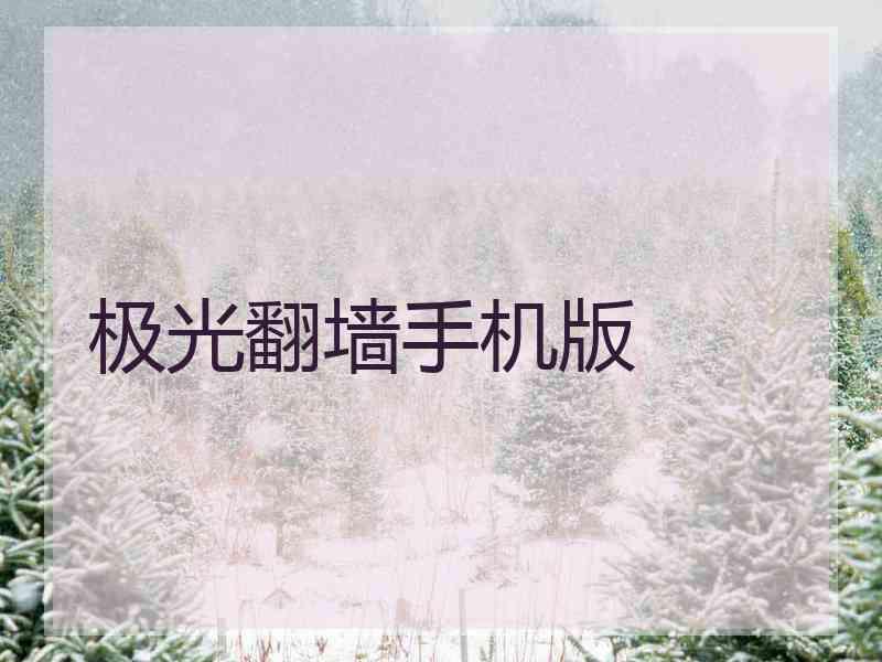 极光翻墙手机版