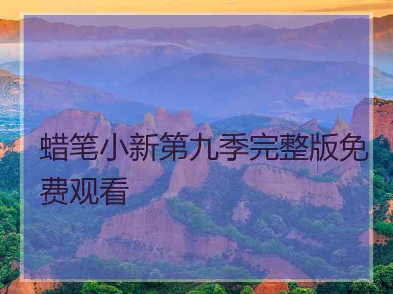 蜡笔小新第九季完整版免费观看
