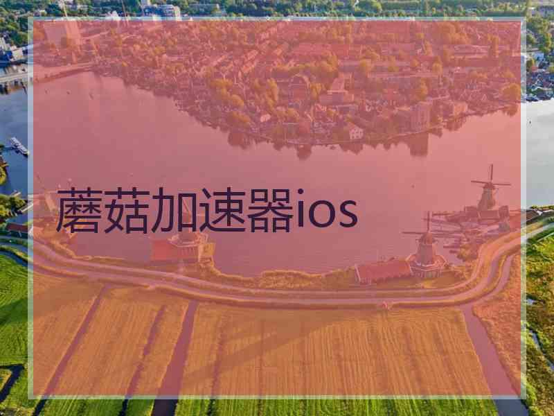 蘑菇加速器ios