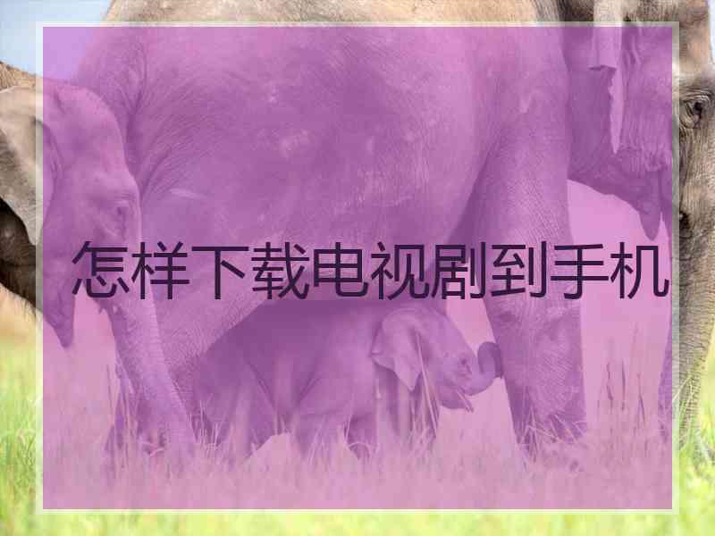 怎样下载电视剧到手机