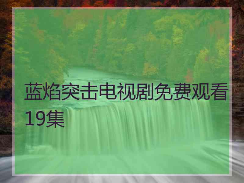 蓝焰突击电视剧免费观看19集