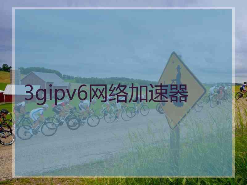 3gipv6网络加速器