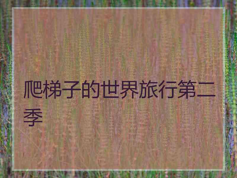 爬梯子的世界旅行第二季