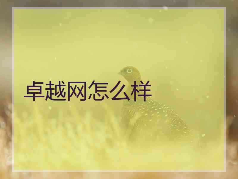 卓越网怎么样